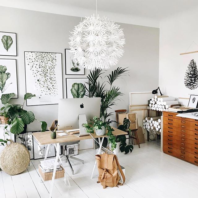 MosssDesign's tweet photo. Hope your Monday is less manic more monstera 🍃🌱🌿#monsteramonday 📷 by @margo.hupert.art https://t.co/dAImIQNb8u