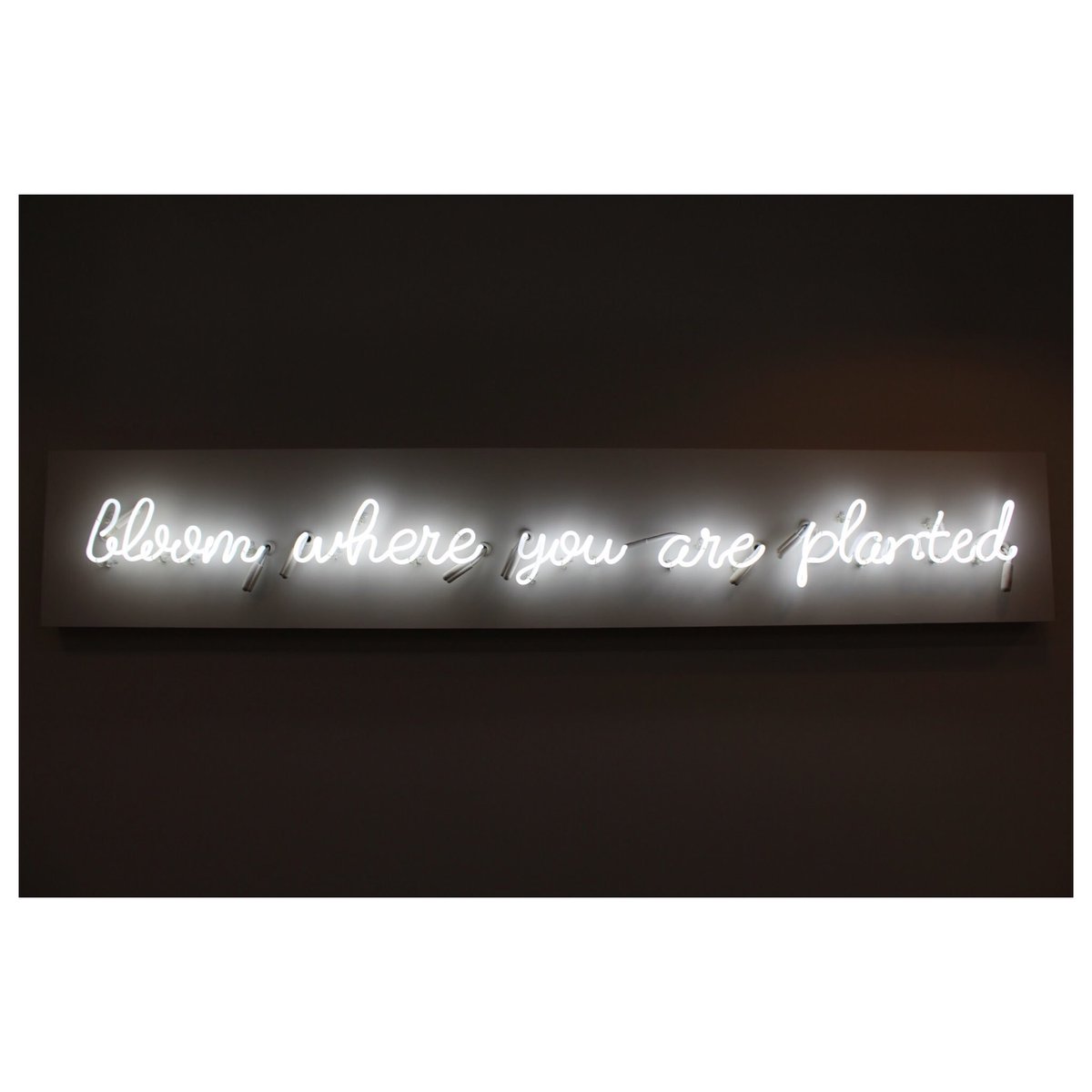 Detroit Blows tweet media