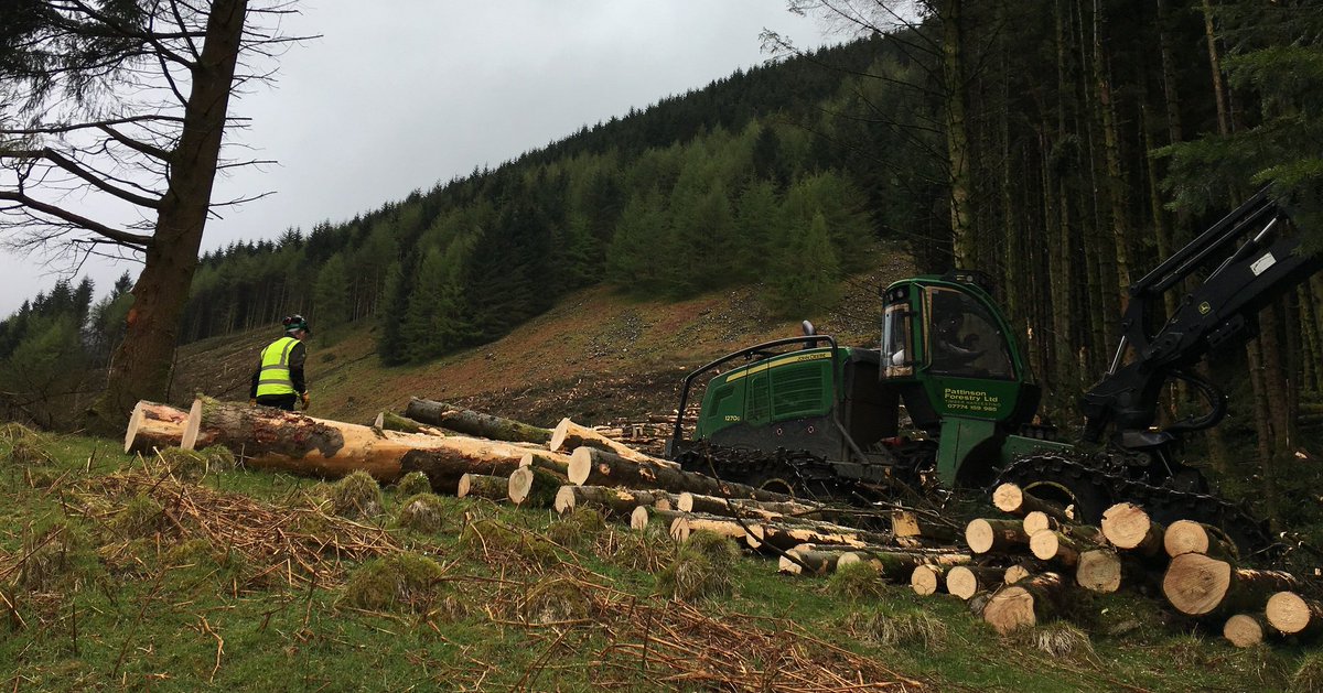 TimberDevUK's tweet photo. In case you missed it... Last month PEFC UK held its Stakeholder Field Trip 2018 in Lockerbie, in Dumfries and Galloway | You can check our short recap - and a photo gallery - of the Trip here https://t.co/b6gOV8ircI | #forestry #timberlegality #Sustainability https://t.co/5w3kRuqVAg