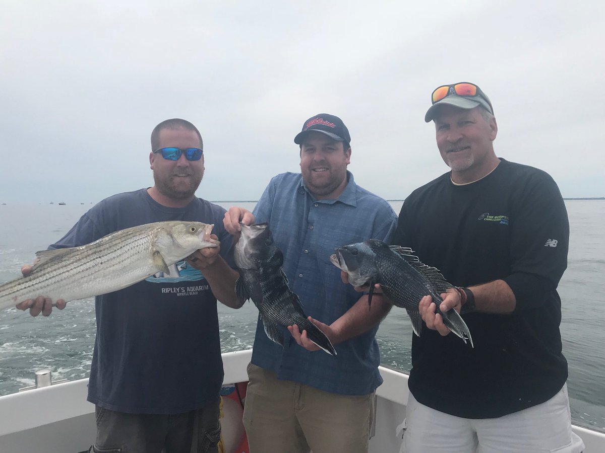SharkSharkTuna's tweet photo. Another day of #tightlines #bentrods and #freshfishfordinner aboard the F/V Aurora Zaq. The Cape Cod Fishing Charter season of 2018 is full swing with @SharkSharkTuna #BookNow captainshane@comcast.net 774-212-0016 #familyfishing #CapeCodHasIt https://t.co/DIGi5kfivE