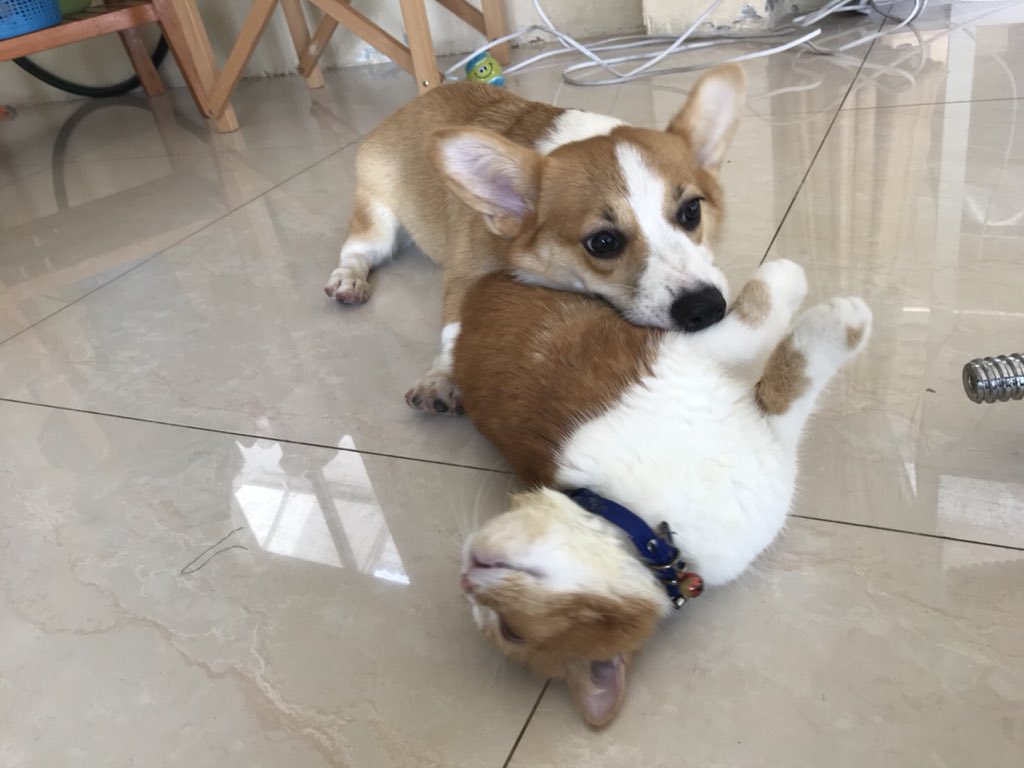น้องหนอน tweet media