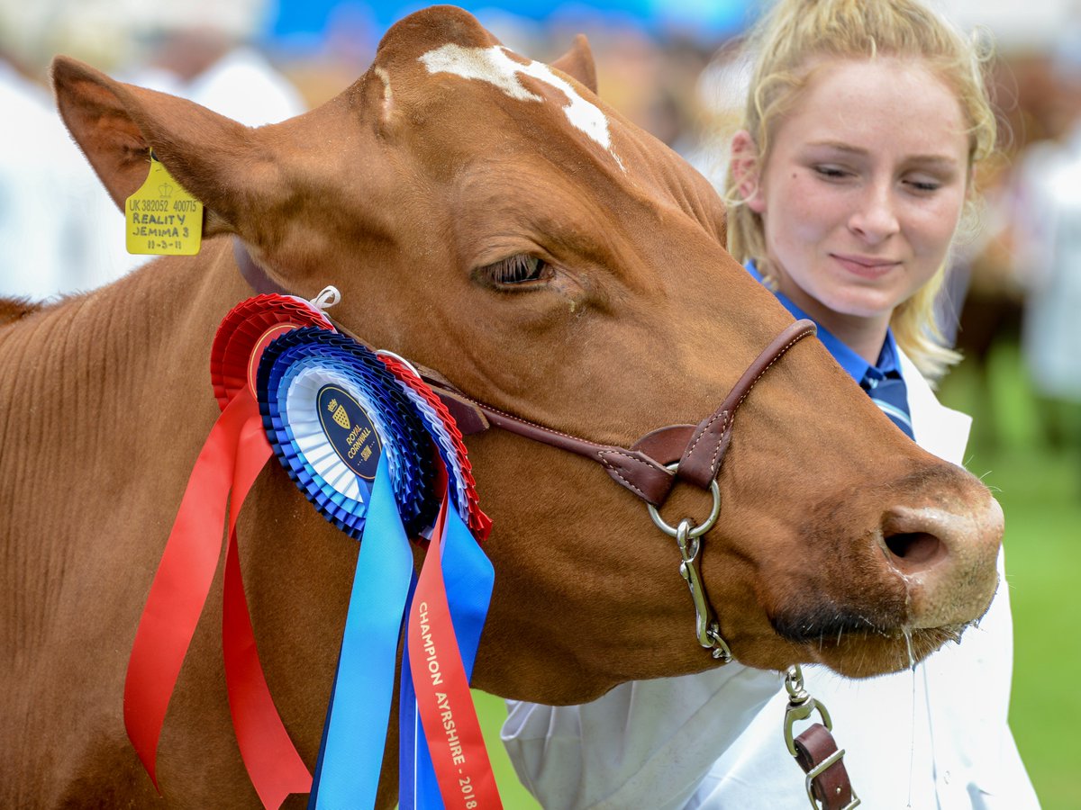 RoyalCornwall's tweet photo. A big thank you to the 119,201 visitors who came to this year's Royal Cornwall Show.

#showingexcellence #since1793 https://t.co/M8qCxs4fgR
