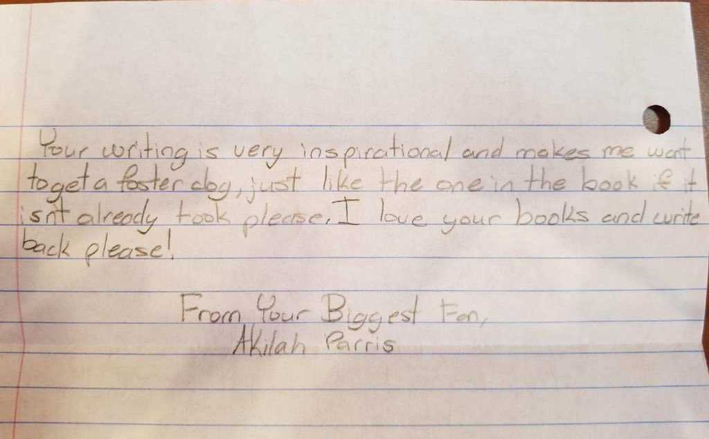 Ruby The Foster Dog tweet media