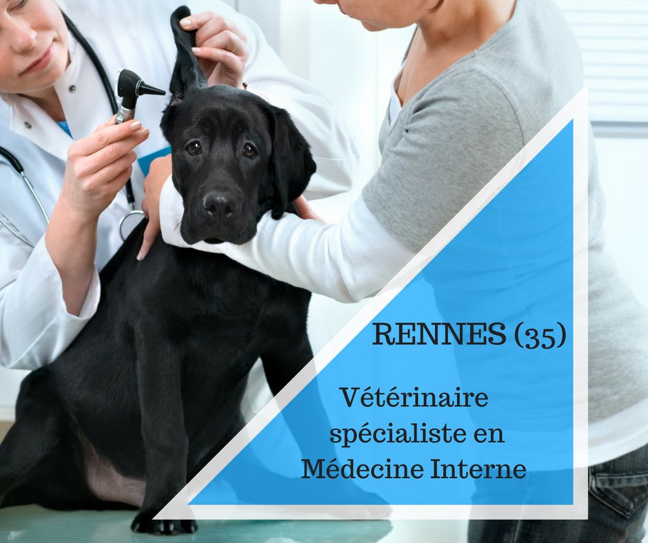 RhAxio's tweet image. 👍 OFFRE D'#EMPLOI : 

Un nouveau centre de #référés canin/NAC à Rennes ouvre bientôt ses portes et nous recherchons un #vétérinaire #spécialiste en #MÉDECINE #INTERNE (H/F). 

🐾 Pour plus d'infos, c'est ici : goo.gl/AkJ2sf