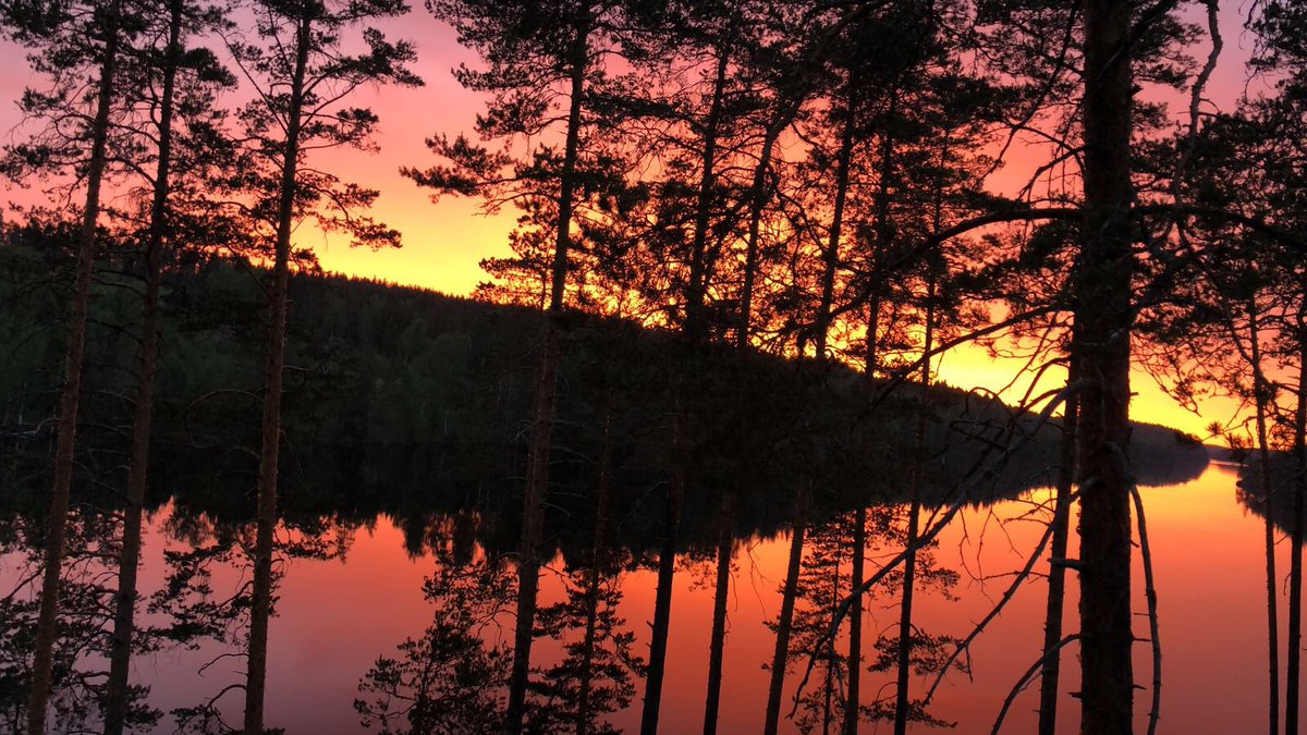waltertogo's tweet photo. Who said that #Finland ’s summer season is gone for good? Me, 2 years ago. I take that back now. Wow. #sunset https://t.co/tOHgoBuB6r