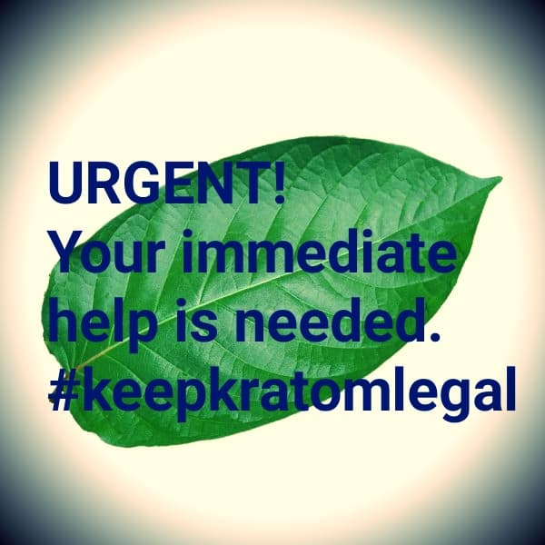 American Kratom Association tweet media