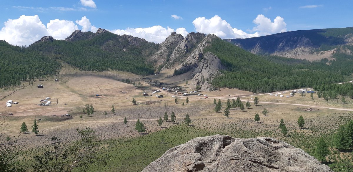 Cuida tus pasos, siempre habrá vida debajo de ellos y su huella podría quedar ahí para siempre...  #terelj #mongolia #vidanomada #huelladecarbono #huellahídrica
