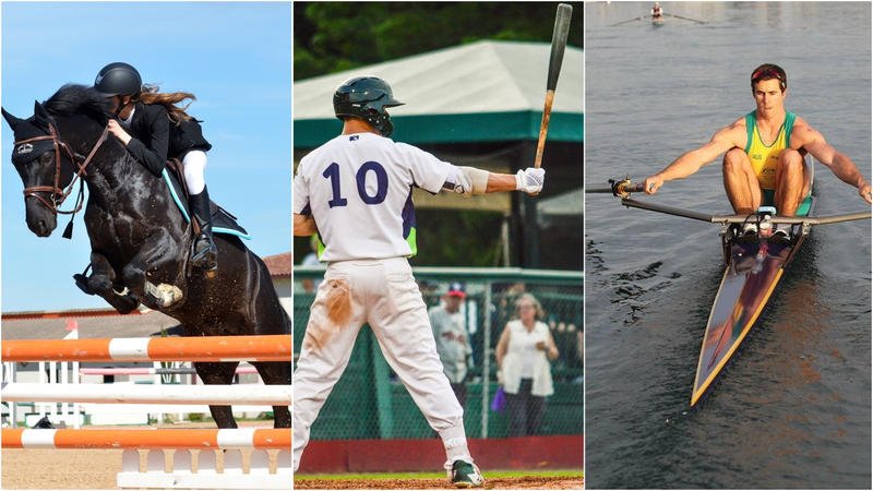 Horses, Alouettes And Lake Monsters, Oh My! Your Vermont Summer Sports Roundup dlvr.it/QWyBxr https://t.co/BCHrkZYotG