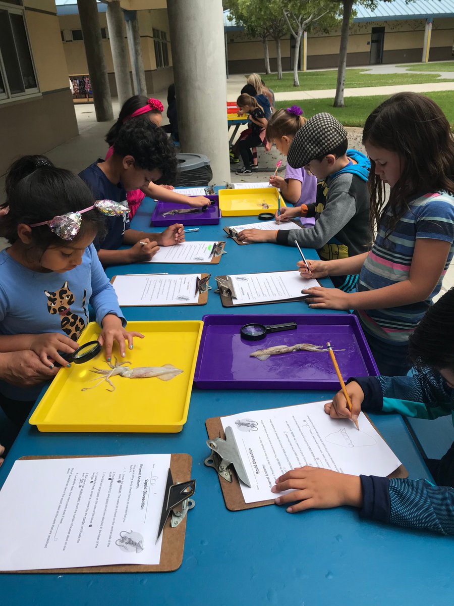 Jefferson Jaguars tweet media