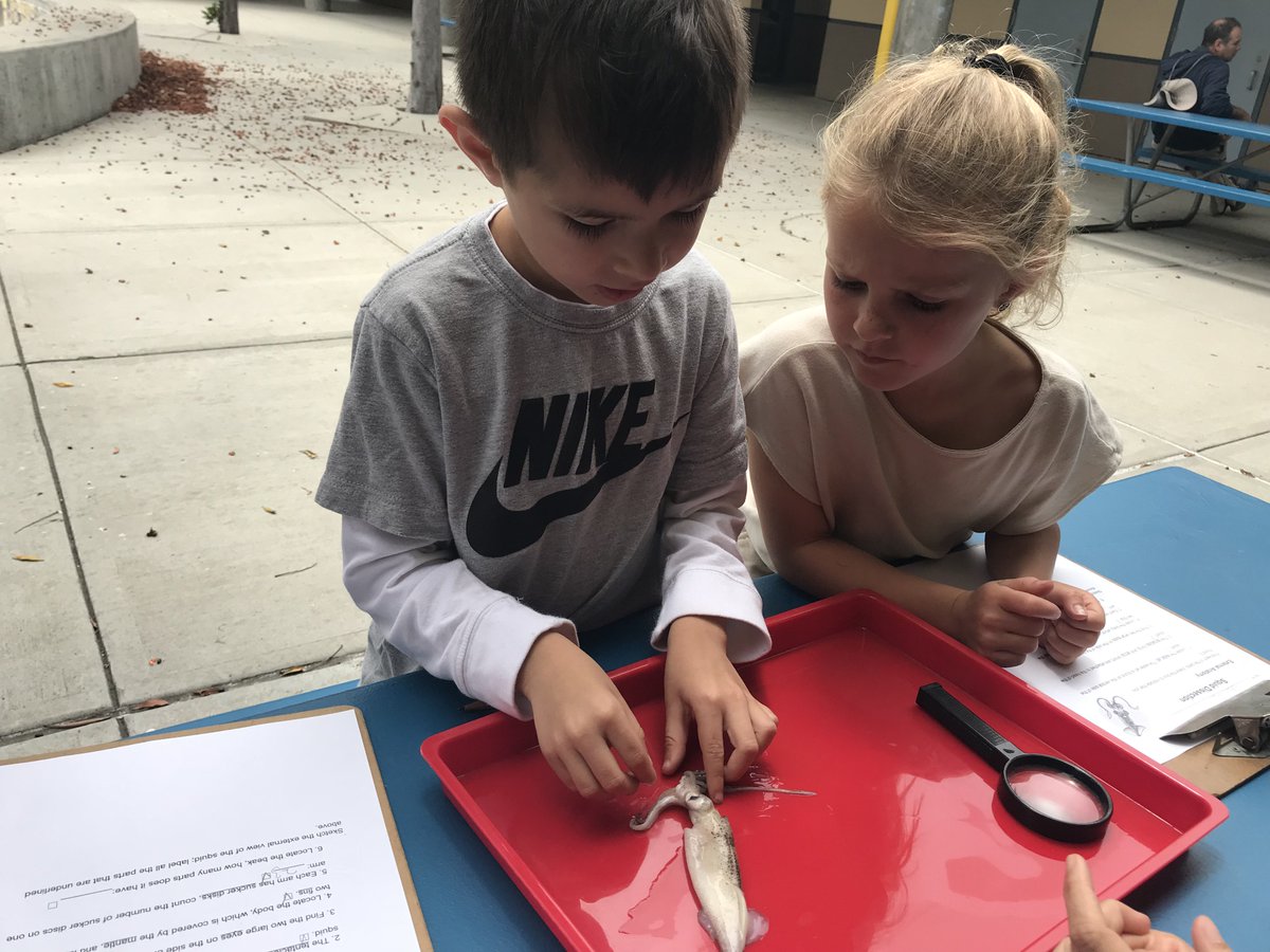 Jefferson Jaguars tweet media