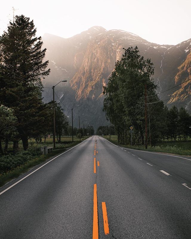 jonflobrant's tweet photo. 🚍🌲 https://t.co/wd37a9vxP1 https://t.co/tdtNazLF01