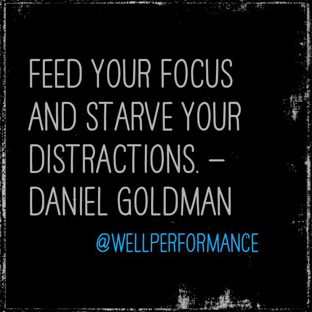 Wellperformance's tweet image. #mentalstrength is about #emotionregulation. Emotion reg is about #attentioncontrol. @wellperformance teaches the skills needed to master your attention, which allows to take control of your emotions and when you can do that you’ll be mentally strong! ✅ the link in our bio!