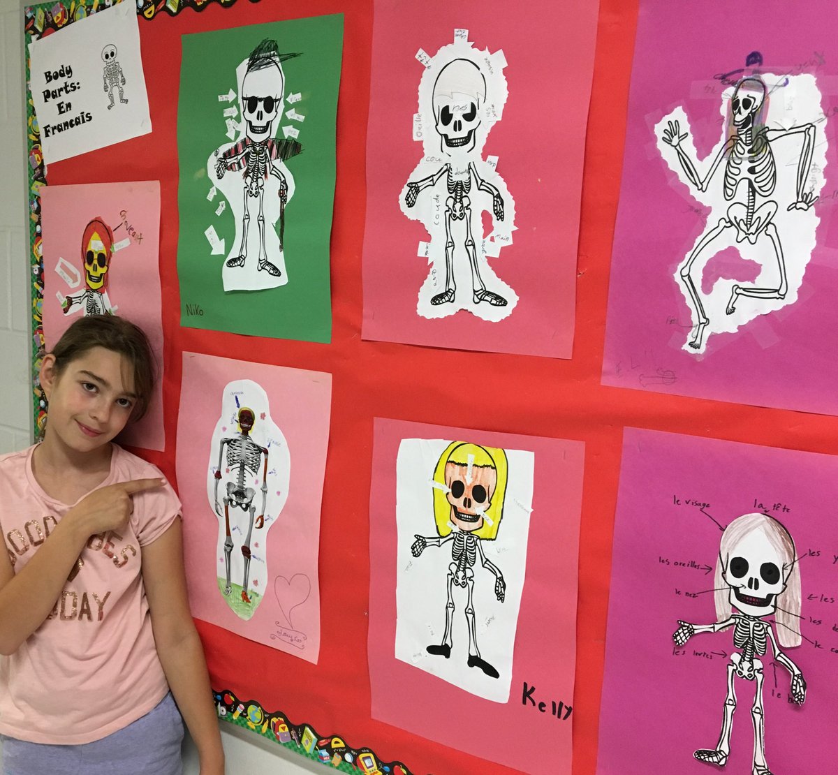 plpgr3's tweet photo. New French bulletin board display https://t.co/meFWJRu5JE