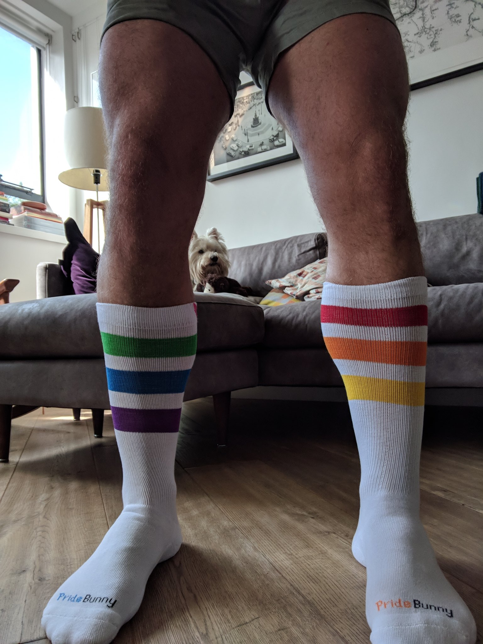 HeHim Socks