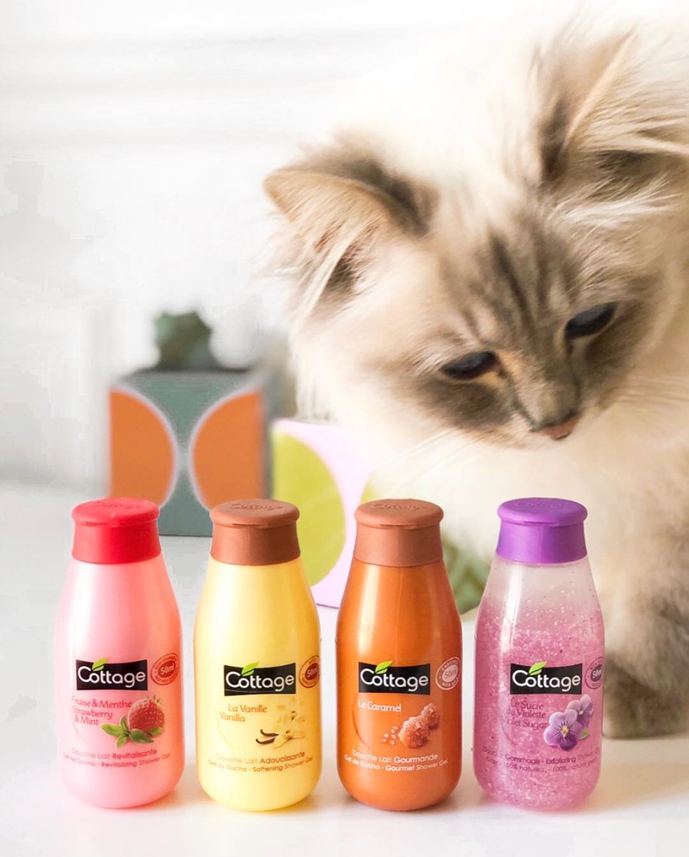 CottageOfficiel's tweet photo. #TousCottagers
Nos minis Douches Lait sont tellement mignonnes, que même la petite boule de poils de notre #cottager @AlerteRousse n’y résiste pas !  #cottageofficiel #geldoucheaddict#geldouche #showergel #showertime #minicottage https://t.co/XEFdBwVWTb