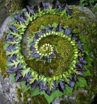 CelticFaerySeer's tweet photo. π±πΏππΏπ± @celticfaeryseer
.
π· https://t.co/VxD9ajFvTn
.
#flowermandala #naturemandala #celticfaeryseer #flowergrid #naturegrid https://t.co/47KP8Hhim9
