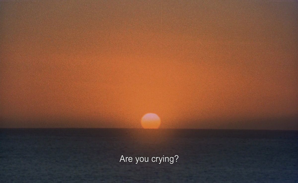 Le rayon vert (Éric Rohmer, 1986)