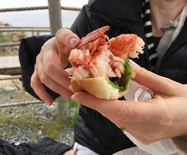luxurytravel's tweet photo. Top 10 reasons to visit Cape Cod - A Luxury Travel Blog https://t.co/7YSRgbEnZG https://t.co/fDrH6MzKdK