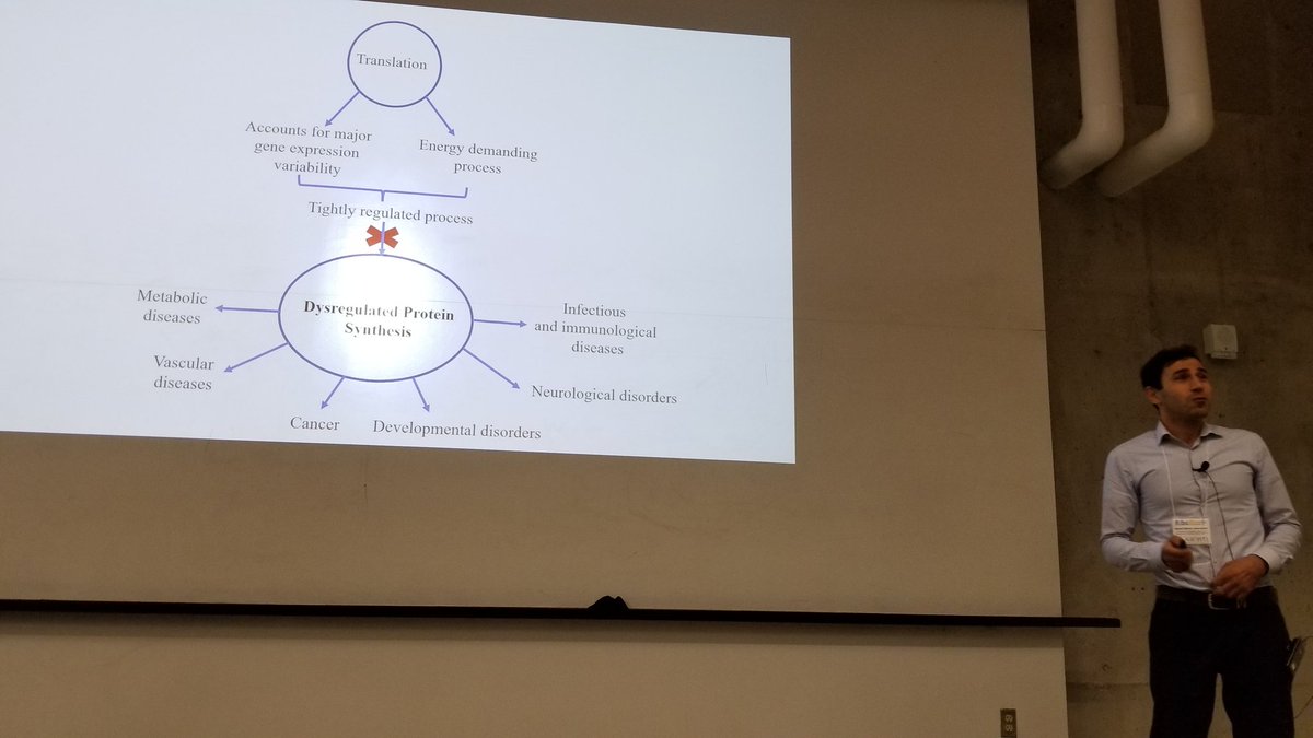 RiboWest's tweet photo. Dr Seyed Mehdi Jafarnejad from #Sonenberg_lab discussing the role of #eIF4E in #protein_translation #RiboWest2018 #RNA #Conference @arrti_rna @uLethbridge https://t.co/dLyu1Ha7je