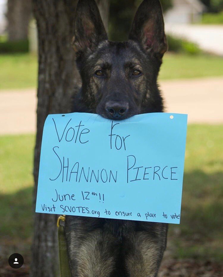 dshannonpierce's tweet photo. Classic! Thank you Stark! #gsptodc #doglover #vote #SC4 #campaign #congress #greenville #spartanburg #conservative https://t.co/JCWOYr1WXa