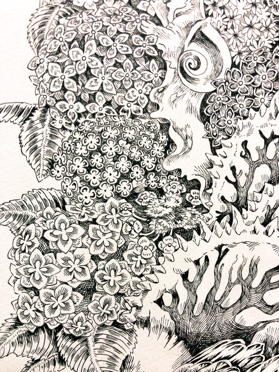 とんからり Twitter પર 紫陽花が歩み寄る季節 梅雨入りしたのでそれっぽいイラスト貼る