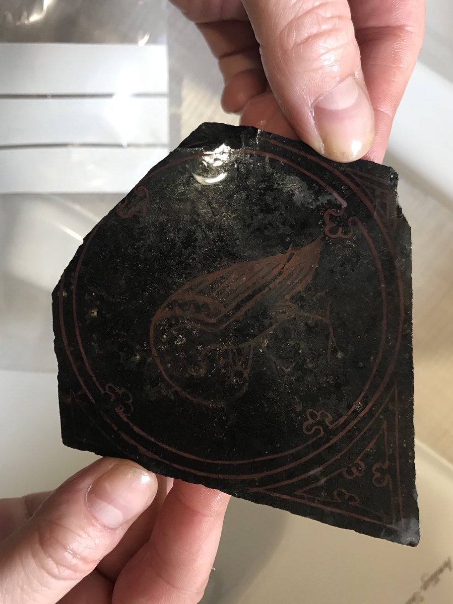 DUACE2025's tweet photo. Find of the trench so far! Medieval glass depicting a bird @aucklandproject #DUACE https://t.co/bW0DssVkpU