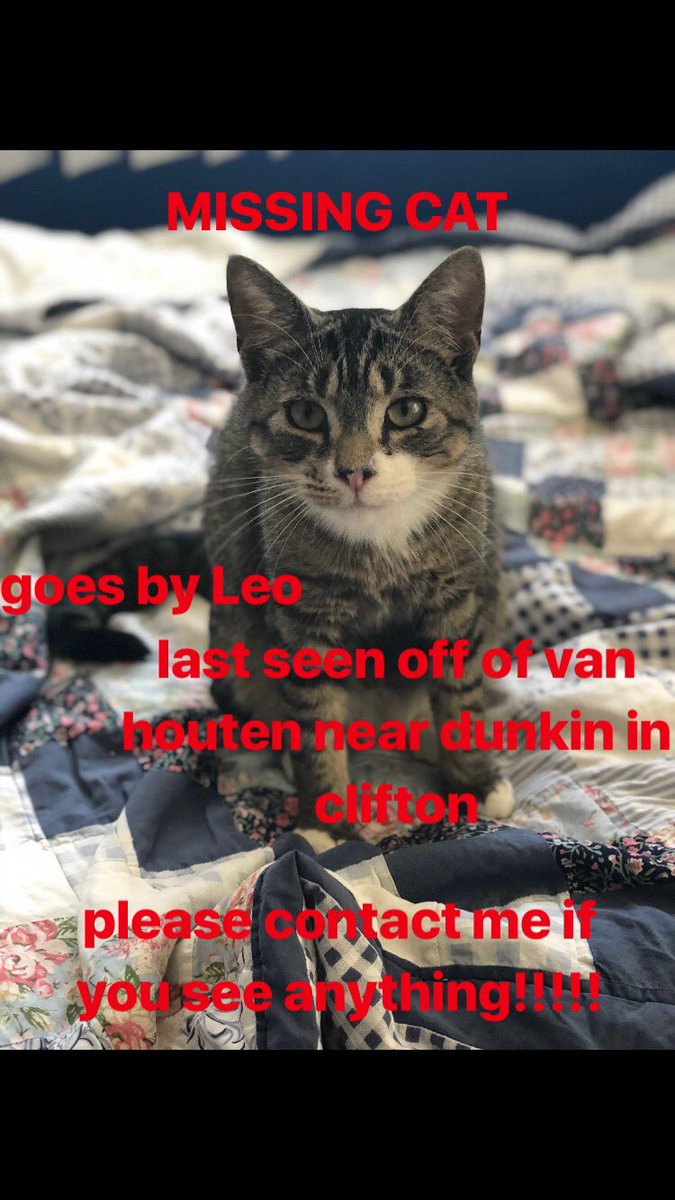 danislan_'s tweet photo. please share and please keep an eye out if you live in the clifton nj area :(((((((( https://t.co/eROKgW5sZv