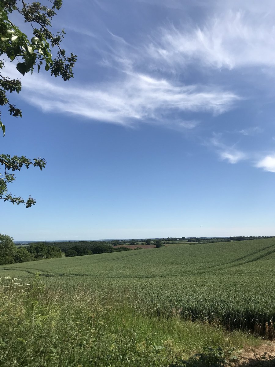 harrietcgraham's tweet photo. Beautiful walk in the sunshine this afternoon☀️so lucky to live where we do! https://t.co/vX1BDKLdoC