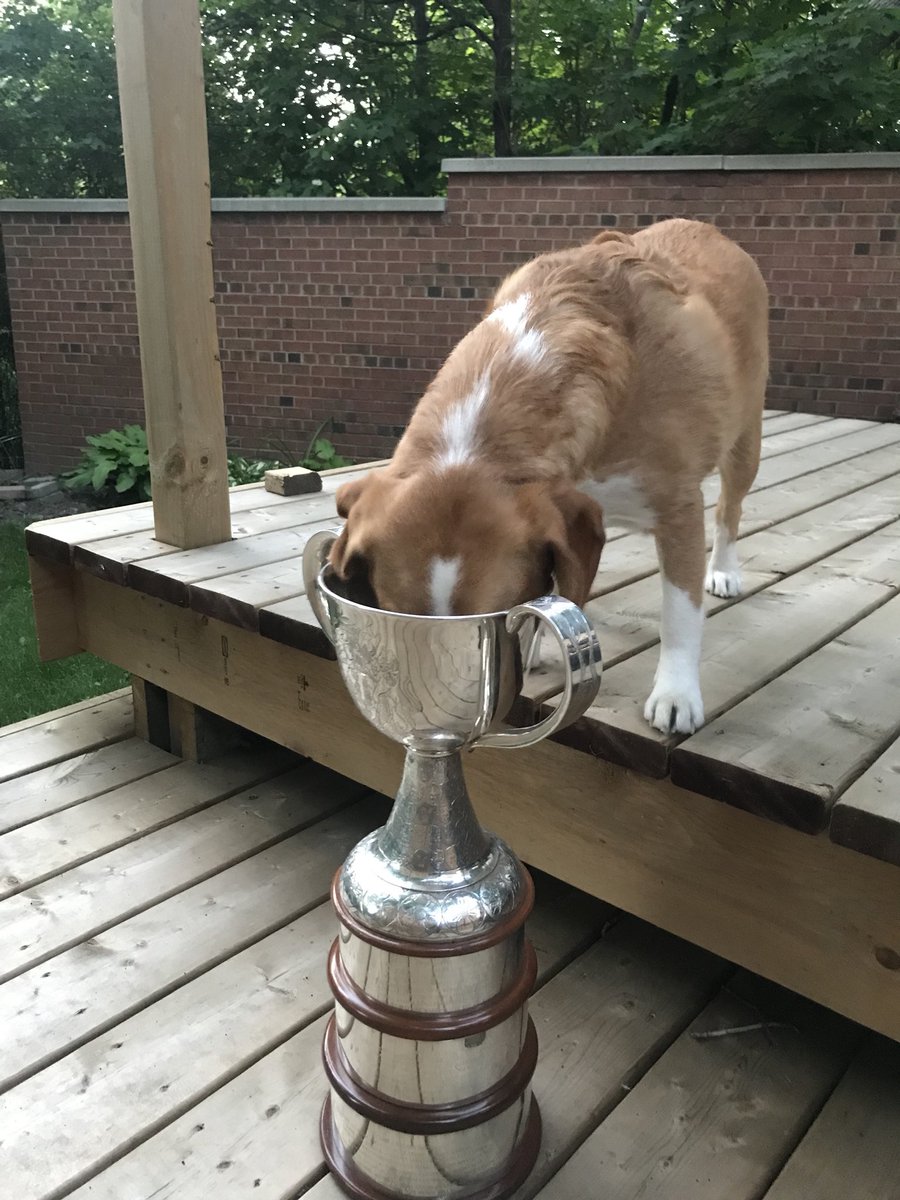 Cooper has been enjoying his time with the #ClarksonCup @ThunderCWHL #FollowtheCup #growthegame
