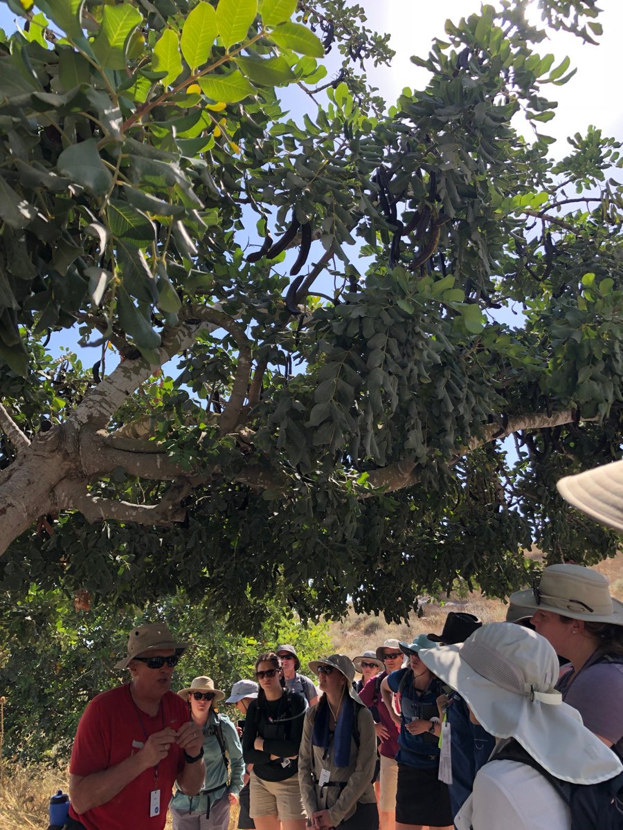hcmaroons's tweet photo. Welcome to the Dead Sea! Recognize any of these HC (&amp;ZCS!) staff floating around? They're taking a break from the 100 deg temps on HCS's 3rd annual staff trip to Israel w/ RVL! #RVL #thattheworldmayknow #neverstoplearning #Learnittoteachit #praisinggod https://t.co/n2roTf2QH6