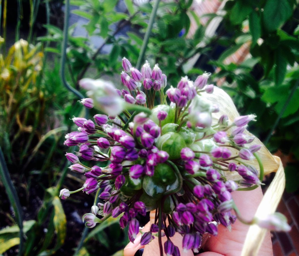 Blooming great &amp; on time for <a href="/KentFallsBC/">Kent Falls Brewing</a> #beerdinner <a href="/BrettWillEat/">Brettfest</a> #vegan #cheers