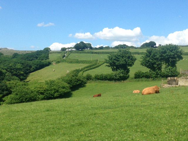 HigginsonLucy's tweet photo. This is my bedroom view for the next few nights while I toil away on Dartmoor riding with @LibertyTrails and Mary King. #toughjobbutsomeonehasto https://t.co/3gP6TyeCCU
