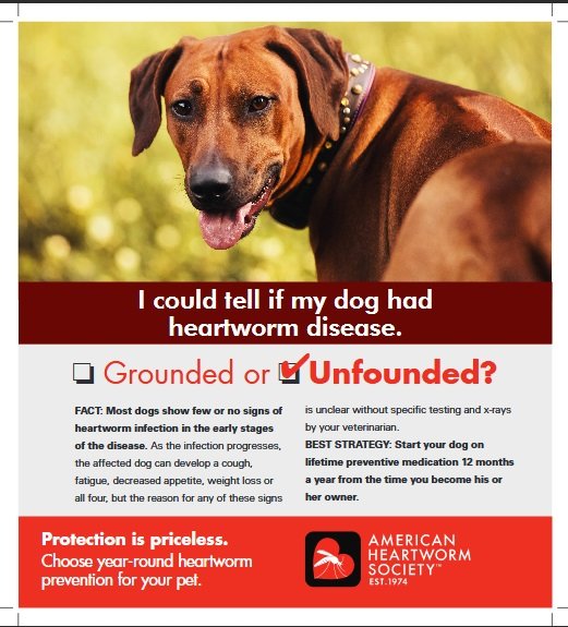 AHS_Think12's tweet photo. The signs of HW disease are mild or non-existent until serious damage has occurred! #veterinary #pets https://t.co/DC4lNS9SNe