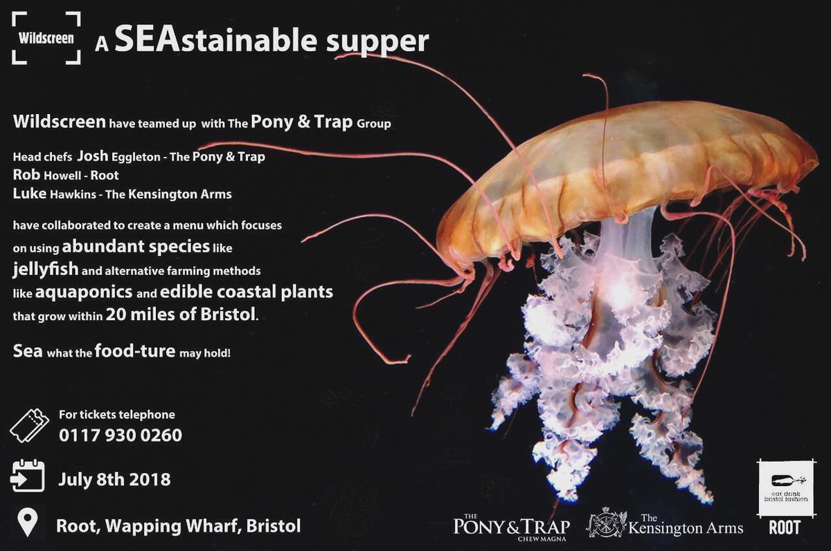 Josh Eggleton tweet media