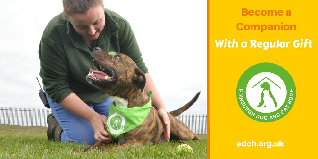 Gillian_GGraham's tweet photo. Why not show your support to the dogs and cats by becoming a Companion https://t.co/ze9OeMA9NB? We understand that not everyone can #adoptapet but may want to help. #CompanionWeek #keeptailswagging https://t.co/cr2E1um6xL