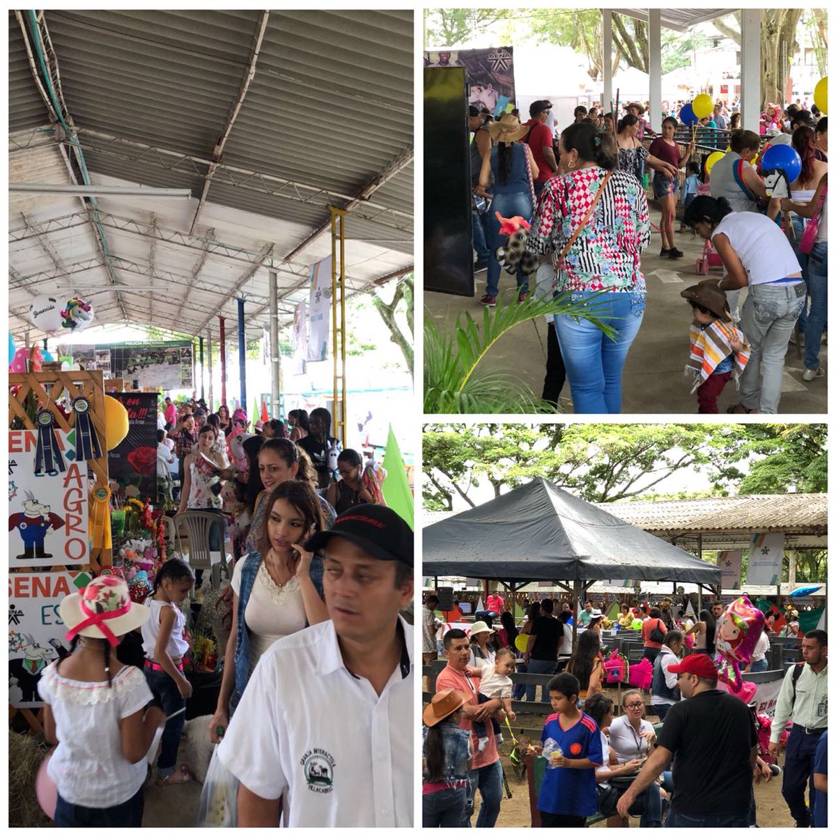 GermansSuarez's tweet photo. ¡Cuarto día de la Feria de Tuluá! Y seguimos dándole la bienvenida a toda la comunidad que visita nuestro pabellón de especies menores y muestra empresariales SENA CLEM. #FeriadeTuluá #SENACLEM #Tuluá @SENAcomunica @ctrujillosena https://t.co/Seub2fnqgM