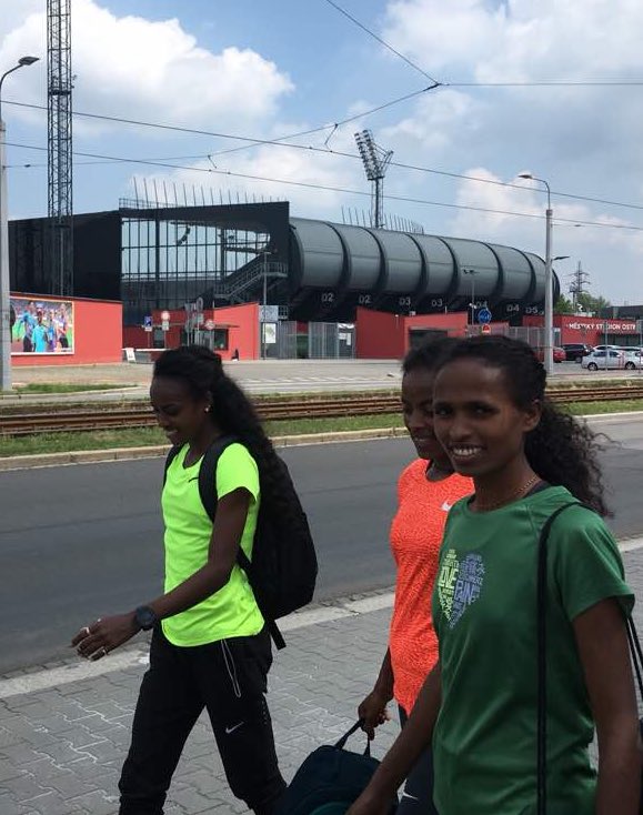 Genzebe Dibaba tweet media