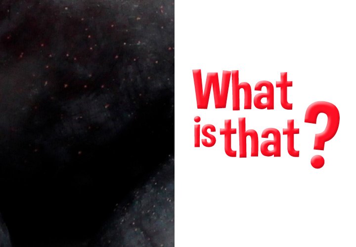 We’re perplexed. What do you think? #MondayFunday