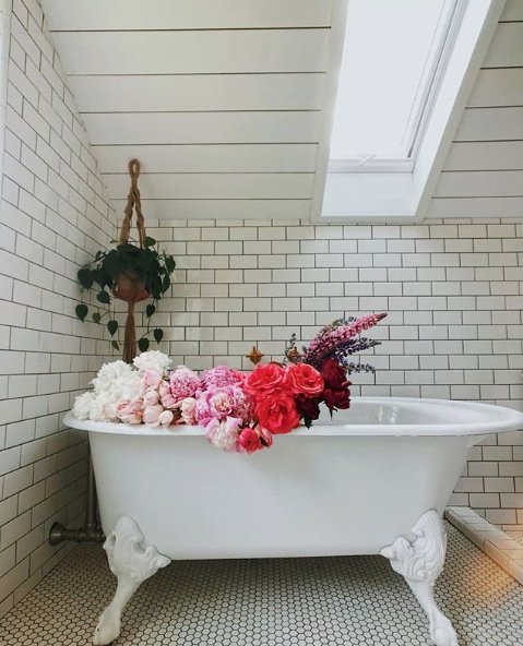 FreePeople's tweet photo. Starting the week off right 👌 #mood https://t.co/9TSqxsm1iM https://t.co/r3wG0tniI9