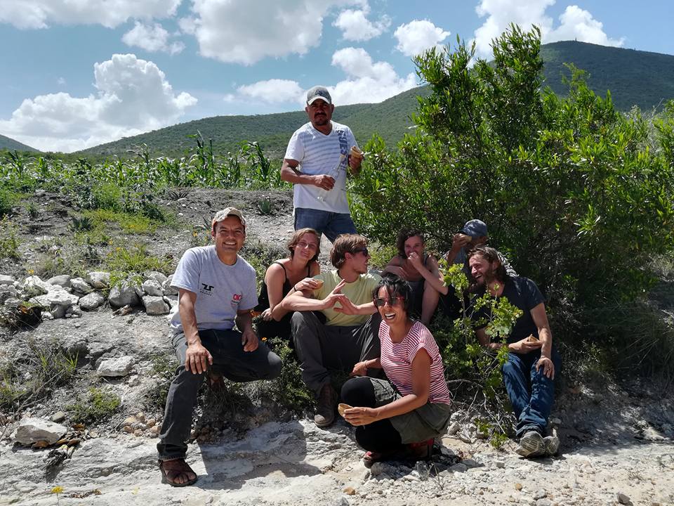 The Mezcal Noble Coyote brand is intended to resonate with those seeking an authentic, uniquely Mexican craft spirit of the highest quality produced with sustainability at the forefront

#mezcalnoblecoyoteteam #teamwork #mezcalfriends #theagaveexperience