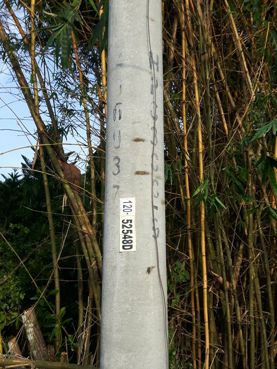 JIRT1184's tweet photo. Luminaria dañada hace meses, la empresa la repara y al día siguientr se daña. Barriada Monte Carmelo, Pocrí - Aguadulce... por favor ver em problema, hay mucha oscuridad y los dueños de lo ajeno se aprovechan de esto. https://t.co/NLNhALXW6j