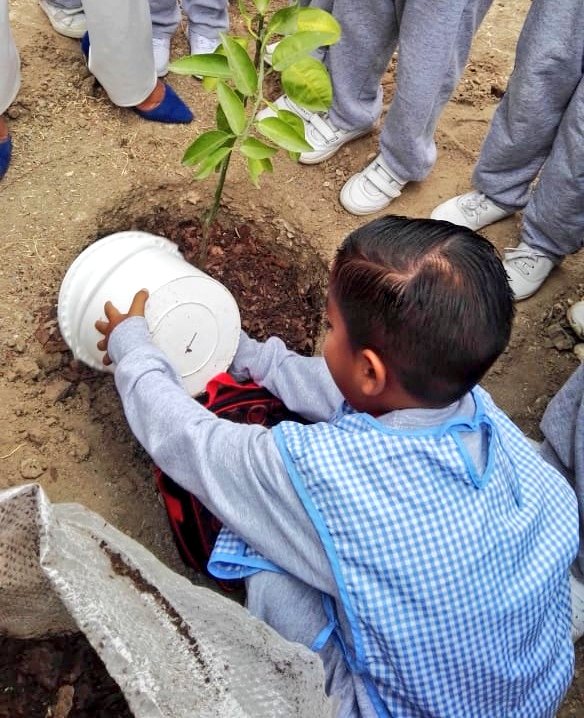 EducacionZ5_Ec's tweet photo. Varias unidades Educativas del Distrito24D02 LaLibertad - Salinas, fueron parte de la cruzada de reforestación para incentivar el cuidado del medio Ambiente #TINI https://t.co/D1fO1shThV