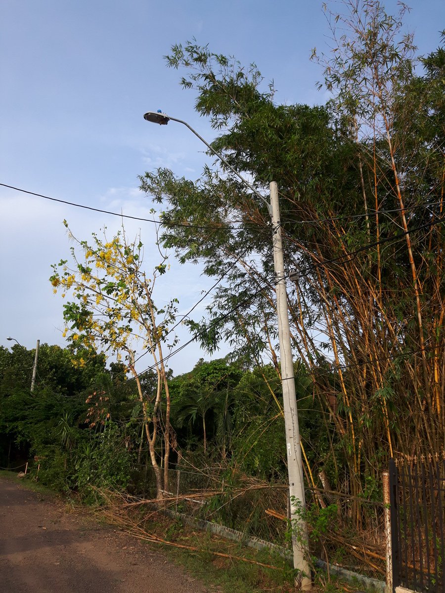 JIRT1184's tweet photo. Luminaria dañada hace meses, la empresa la repara y al día siguientr se daña. Barriada Monte Carmelo, Pocrí - Aguadulce... por favor ver em problema, hay mucha oscuridad y los dueños de lo ajeno se aprovechan de esto. https://t.co/NLNhALXW6j