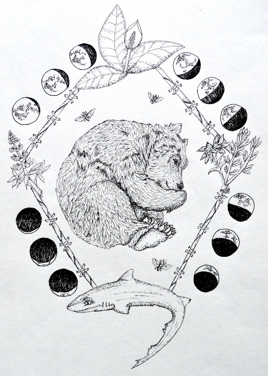 hensonbiol's tweet photo. As the bear monitoring season wraps up, paying homage to our noninvasive hair snag stations, and all of the flora and fauna that play an important role in building our sites, filling our field days, and gathering those crucial wisps of hair #bearresearch #sciart #noninvasive https://t.co/4WidWMwYkm
