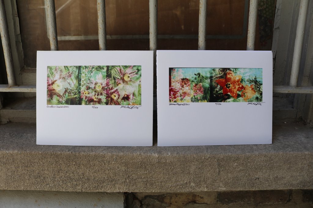 Misha Ashton Photography’s abstract, double exposure prints of the Field Museum are a delight from every angle! #MondayMoodLift