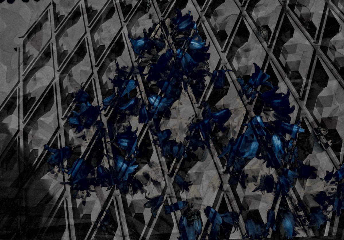 Photo: Paddee B., Youth in Focus student

Summer Quarter starts in a few weeks and we only have a couple of spots open! Create your visual story, like Paddee, in our darkroom or digital photography classes! Application: youthinfocus.org/what-we-do/