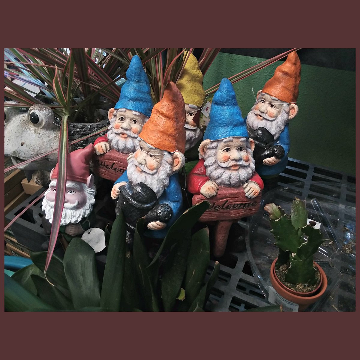 MarinAceHw's tweet image. Google doodle has declared today a celebration of the garden gnome!!  We told you that the gnomes were taking over.  These were just spotted dispersing into the fasteners and power tool aisles...  #helpfulhardware #gnomes #wehatetosaywetoldyouso #keepthemawayfromthespraypaint