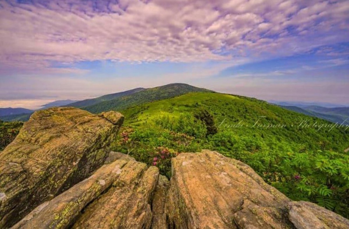 TristarAdventur's tweet photo. We’ve been seeing more posts about #mountainmonday 

Here is a picture from one of our favorite mountains, #RoanMountain by @turman76 

#instagramtennessee #statepark #wanderer #tennessee #tennesseelife https://t.co/5LYNeqtqYy