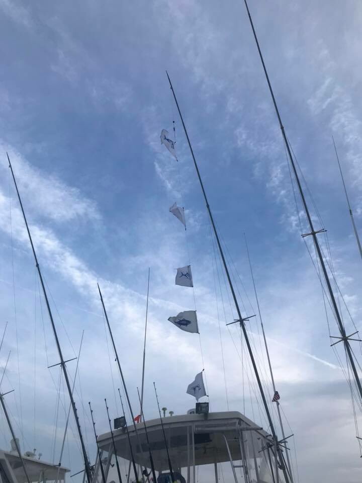e_pomeranz's tweet photo. Yellow fins and blue fins and makos... oh my! Great day on the water on the Amanda May-Hem. #OCMD https://t.co/2i2XFVvduY