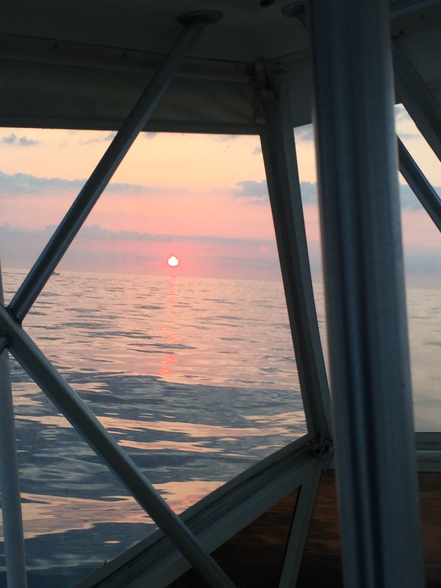 e_pomeranz's tweet photo. Yellow fins and blue fins and makos... oh my! Great day on the water on the Amanda May-Hem. #OCMD https://t.co/2i2XFVvduY
